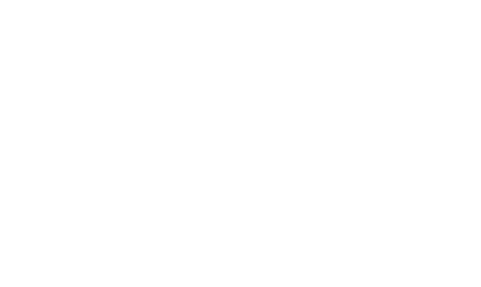 Oplevelsescenter-nyvang-logo.png